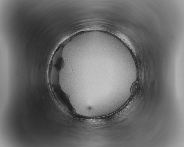 X0000095940805200802011040