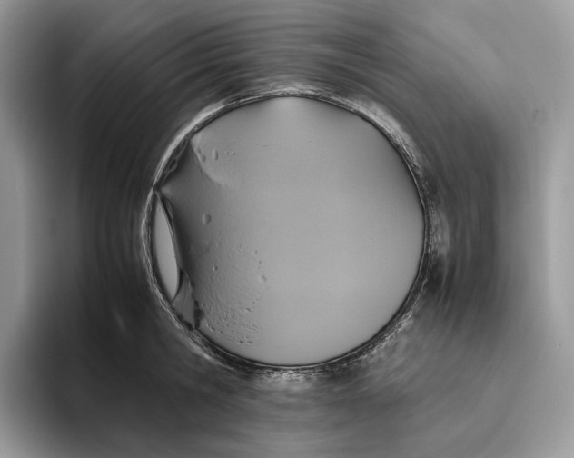 X0000095940806200802011040