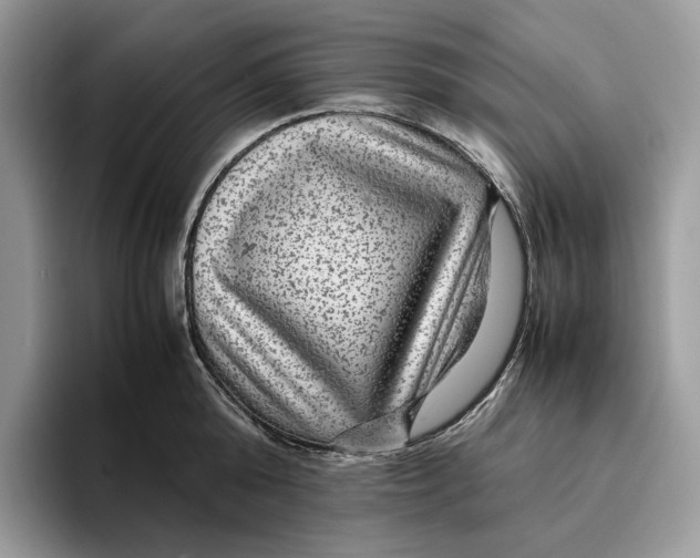 X0000095940808200802011040