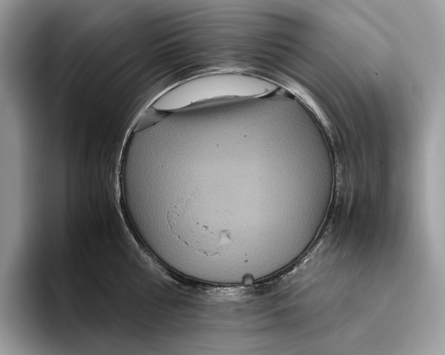 X0000095940810200802011040