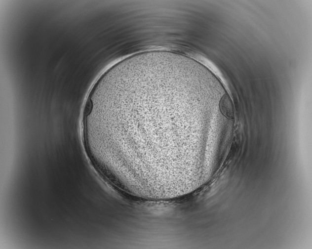 X0000095940811200802011040