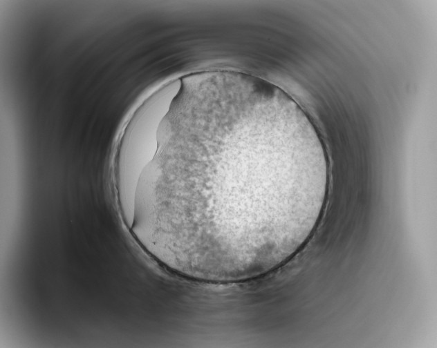 X0000095940816200802011040