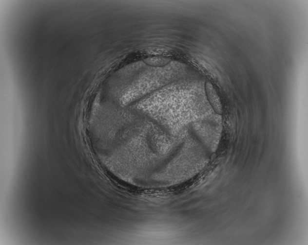 X0000095940817200802011039