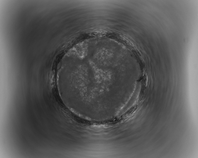 X0000095940818200802011039