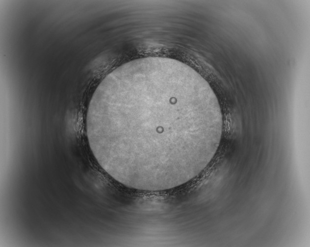 X0000095940820200802011039