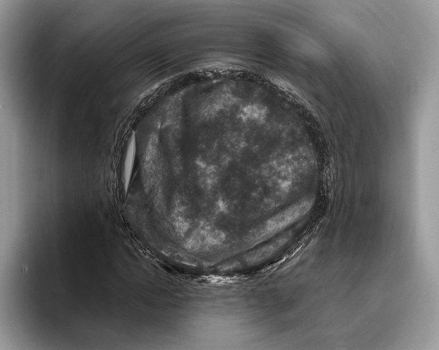 X0000095940822200802011040