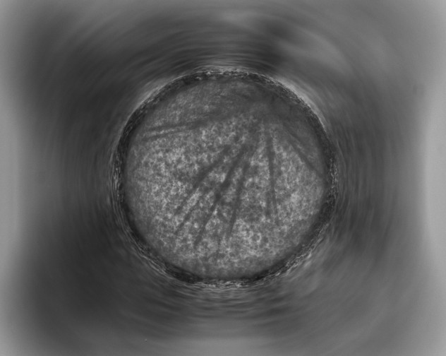 X0000095940823200802011040