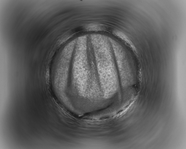 X0000095940825200802011040