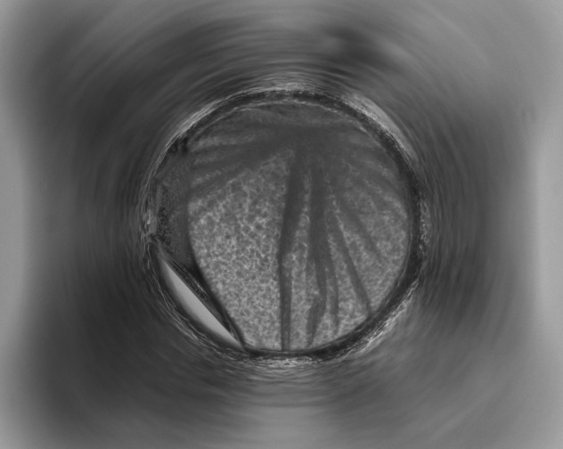 X0000095940826200802011040