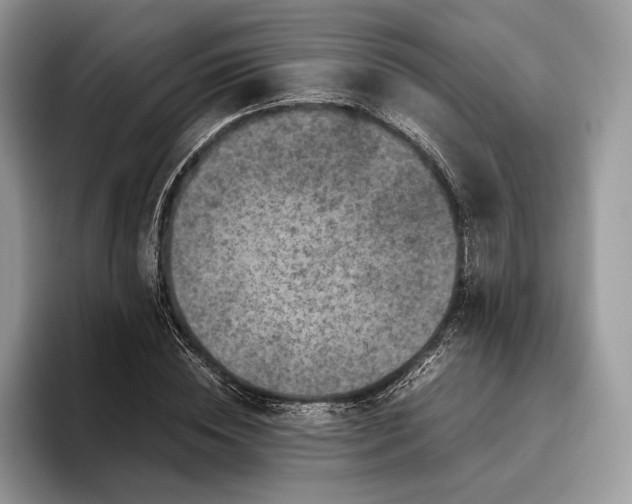 X0000095940828200802011040