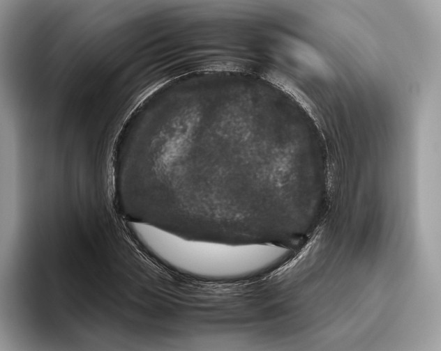 X0000095940829200802011040