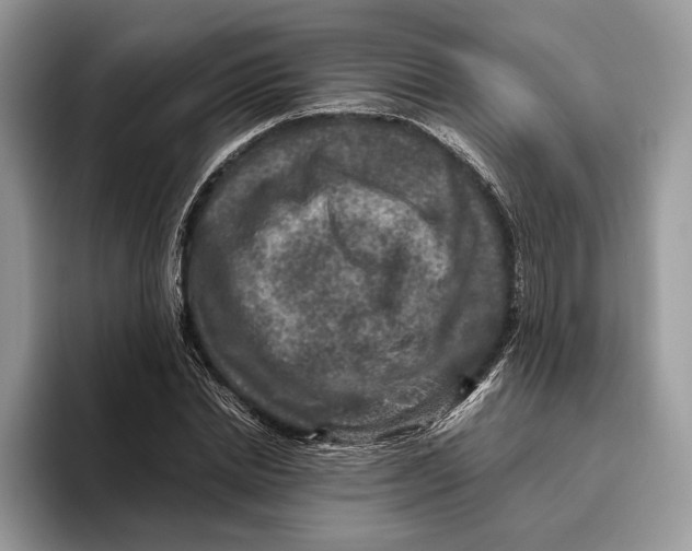 X0000095940830200802011040