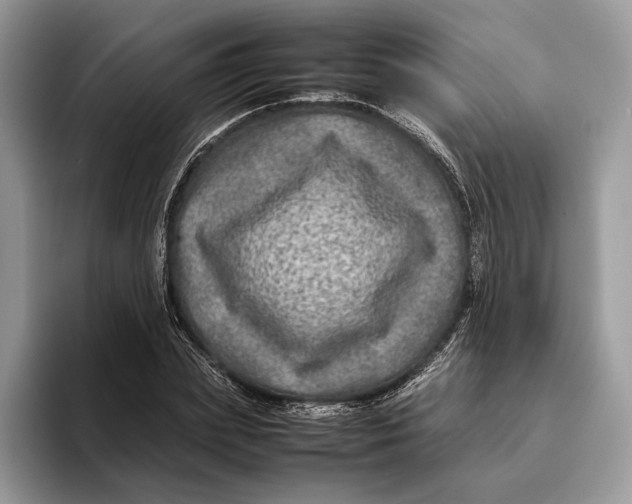 X0000095940831200802011040