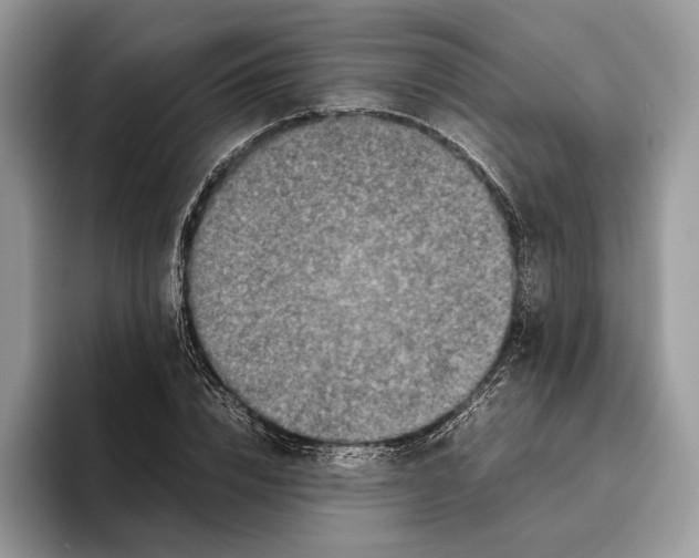 X0000095940832200802011040