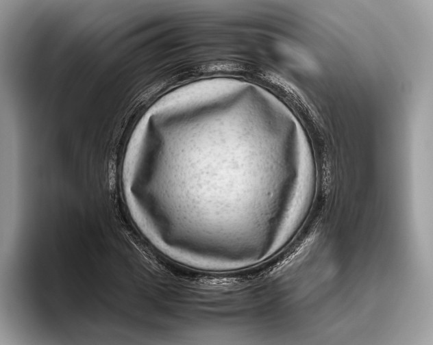 X0000095940833200802011040