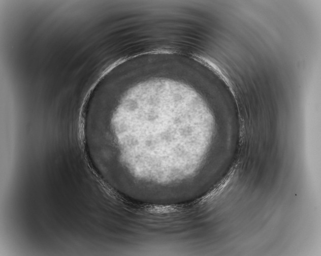 X0000095940835200802011040