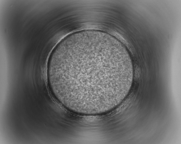 X0000095940836200802011040