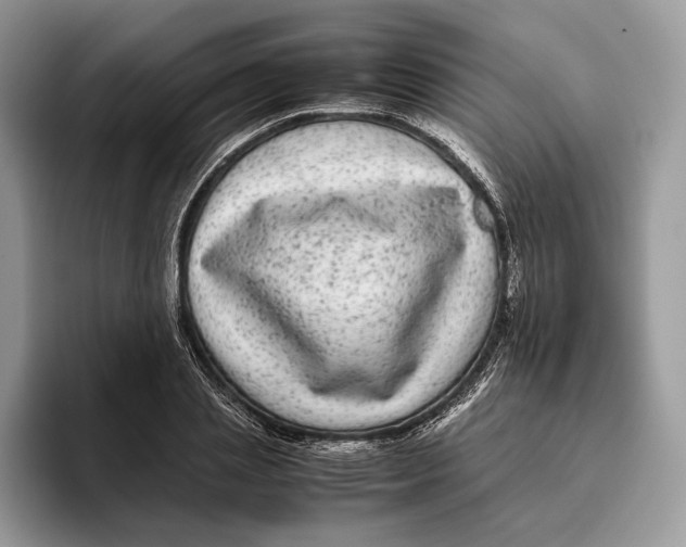 X0000095940837200802011040