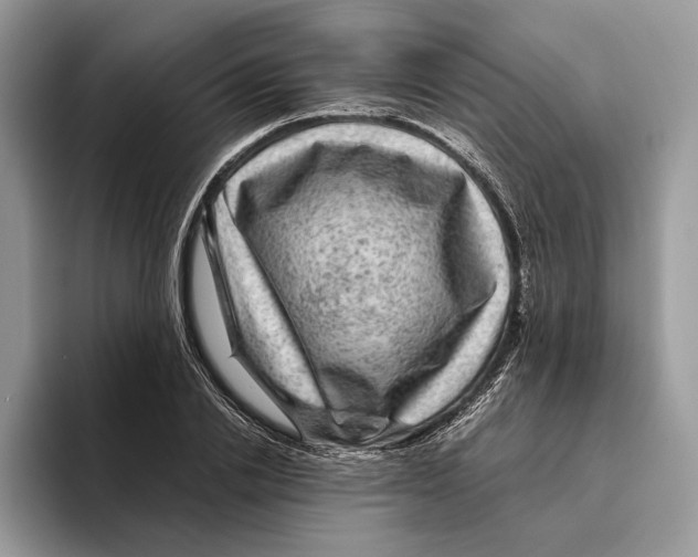 X0000095940838200802011040