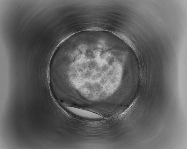 X0000095940839200802011040