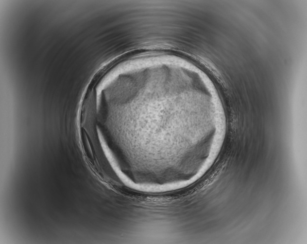 X0000095940840200802011040