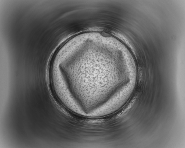 X0000095940843200802011040