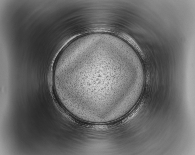 X0000095940844200802011040