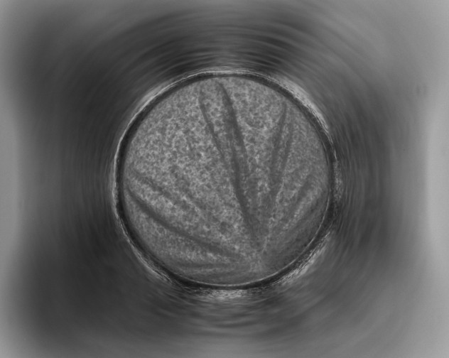 X0000095940845200802011040