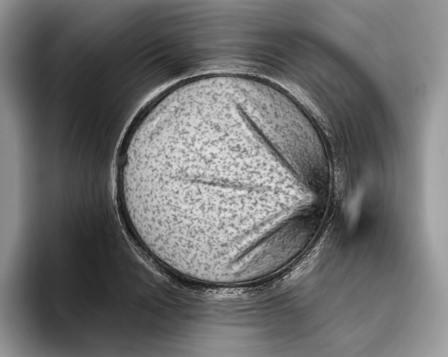 X0000095940846200802011040