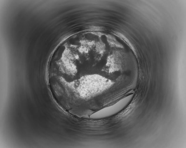 X0000095940851200802011040