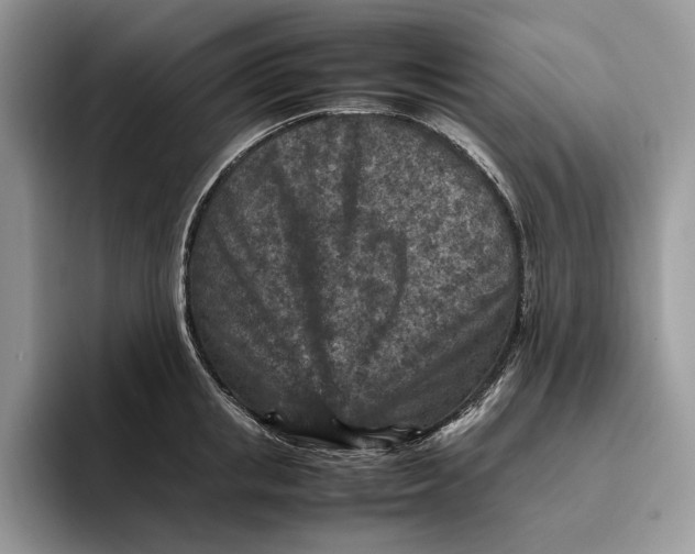 X0000095940853200802011040