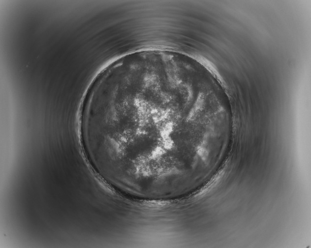 X0000095940854200802011040