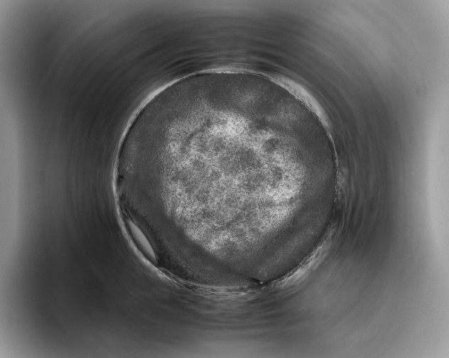 X0000095940855200802011040