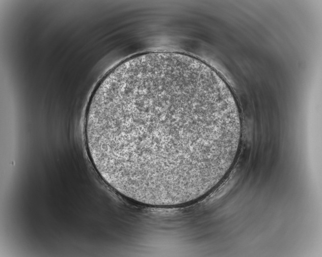 X0000095940856200802011040