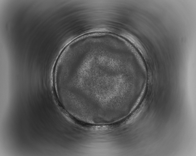 X0000095940858200802011040