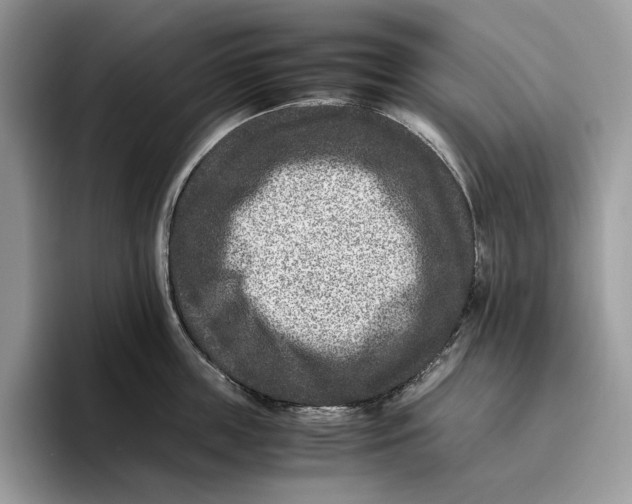 X0000095940859200802011040