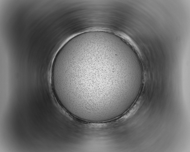 X0000095940860200802011040