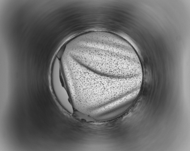 X0000095940861200802011040