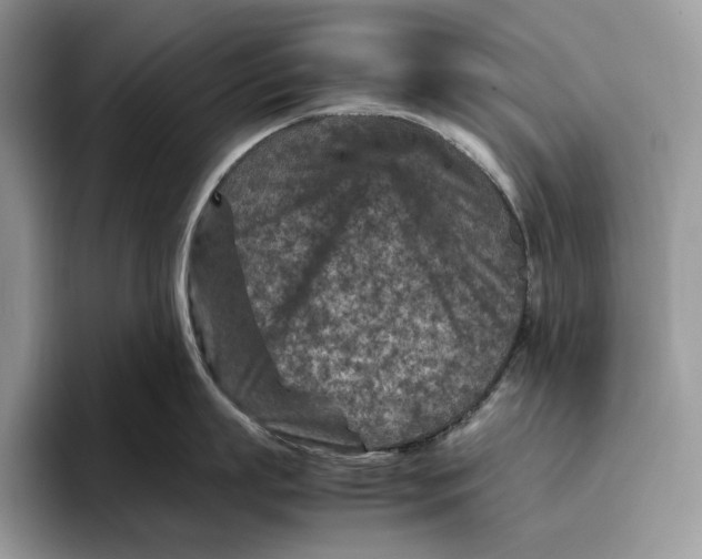 X0000095940863200802011040