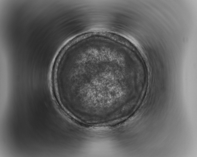 X0000095940864200802011040