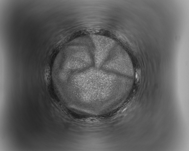 X0000095940867200802011039