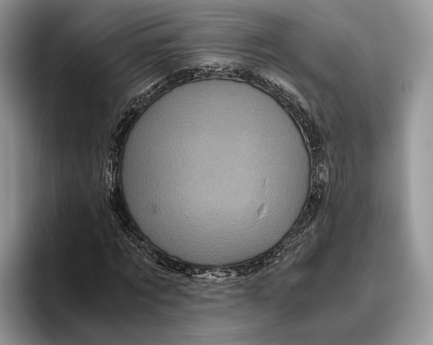 X0000095940869200802011039