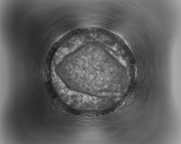 X0000095940871200802011039