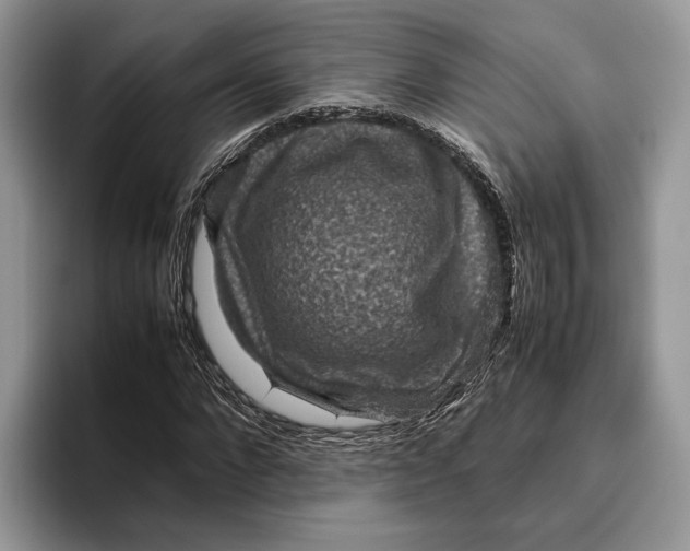 X0000095940872200802011039