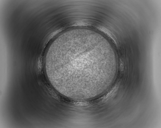 X0000095940874200802011039