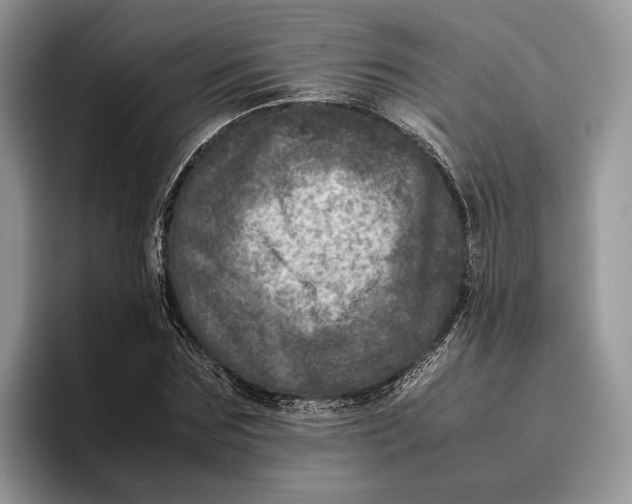 X0000095940875200802011039