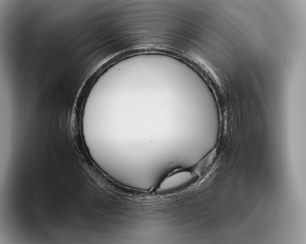 X0000095940876200802011039