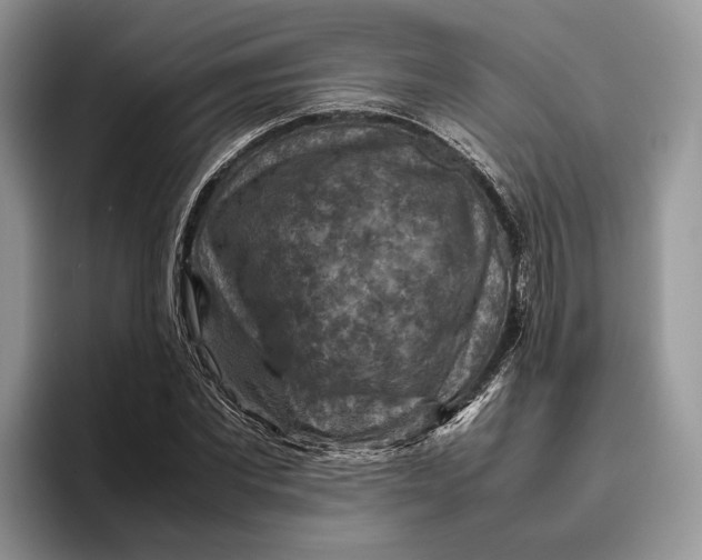 X0000095940877200802011039