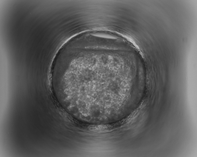 X0000095940879200802011039