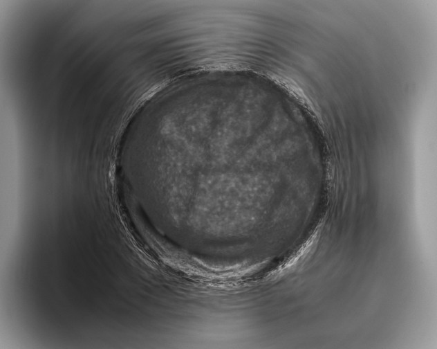 X0000095940881200802011039